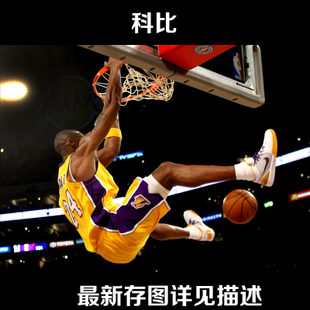 香港驾照 p
